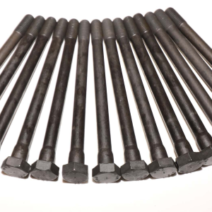 Juego de tornillos de culata M30 BMW E9