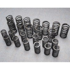 Valve Spring Set Jaguar XK