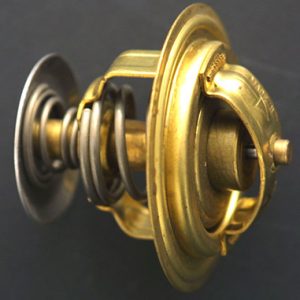 Termostato de agua