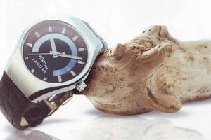 Reloj Ceres