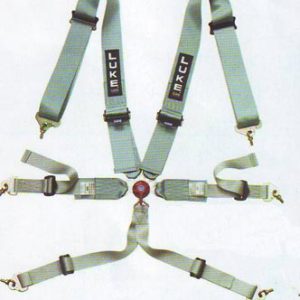 LUKE FIA Range B2006 Harness