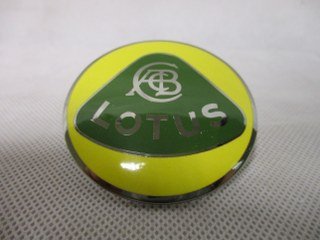 img0483320x240-1 Original Lotus emblem - Image 1