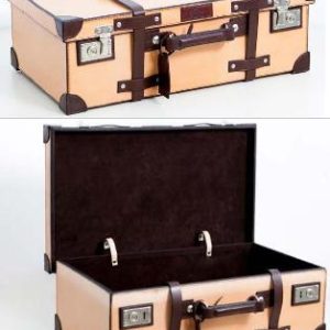 Classic Panamericana case