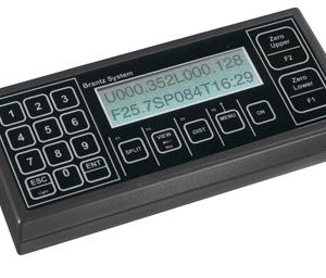 Co-driver repeater monitor