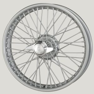 48-Spoke 2.5x19 Painted Wheel